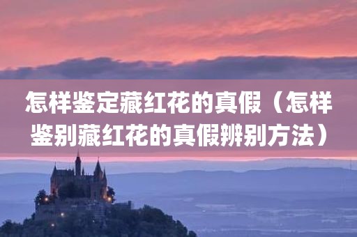 怎样鉴定藏红花的真假（怎样鉴别藏红花的真假辨别方法）
