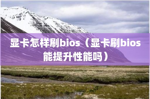 显卡怎样刷bios（显卡刷bios能提升性能吗）