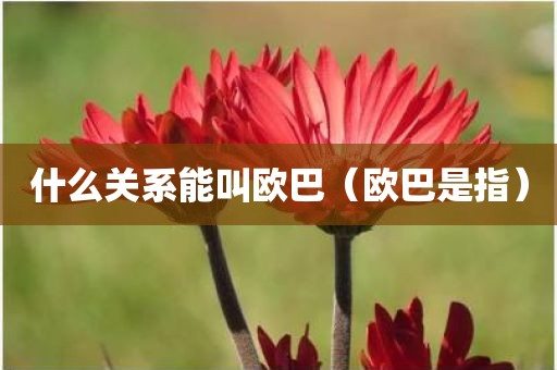 什么关系能叫欧巴（欧巴是指）