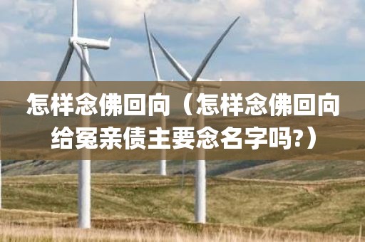 怎样念佛回向（怎样念佛回向给冤亲债主要念名字吗?）
