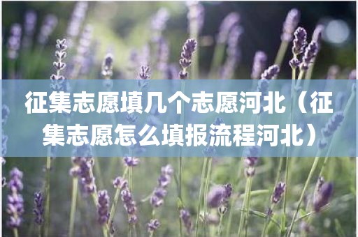 征集志愿填几个志愿河北（征集志愿怎么填报流程河北）