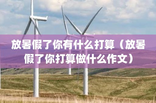放暑假了你有什么打算（放暑假了你打算做什么作文）