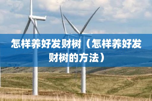 怎样养好发财树（怎样养好发财树的方法）