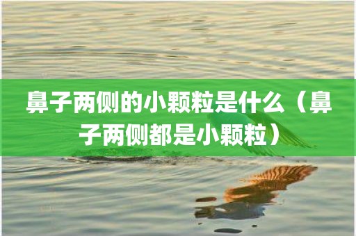 鼻子两侧的小颗粒是什么（鼻子两侧都是小颗粒）