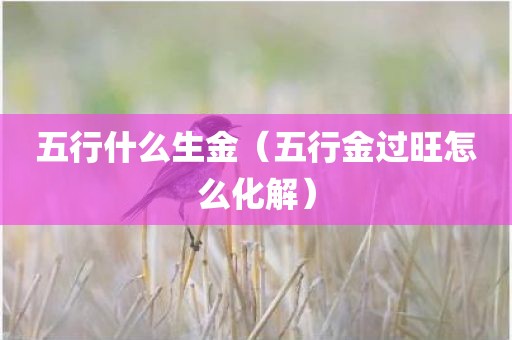 五行什么生金（五行金过旺怎么化解）