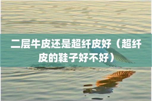 二层牛皮还是超纤皮好（超纤皮的鞋子好不好）