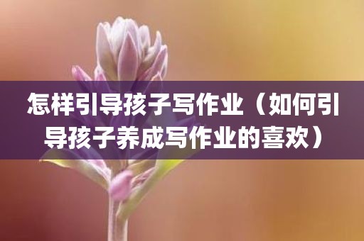 怎样引导孩子写作业（如何引导孩子养成写作业的喜欢）