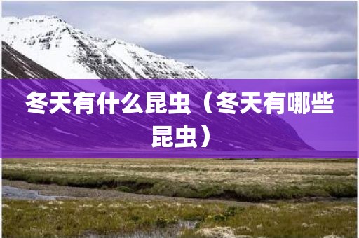 冬天有什么昆虫（冬天有哪些昆虫）