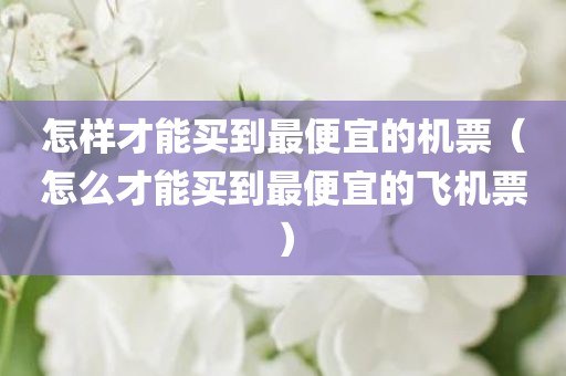 怎样才能买到最便宜的机票（怎么才能买到最便宜的飞机票）