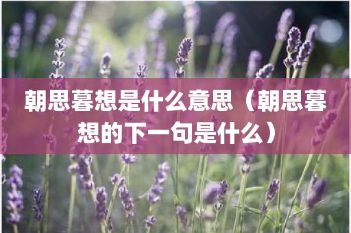 朝思暮想是什么意思(朝思暮想的下一句是什么)