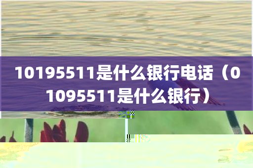 10195511是什么银行电话(01095511是什么银行)