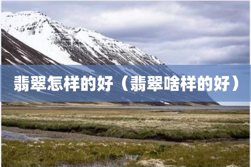 翡翠怎样的好（翡翠啥样的好）