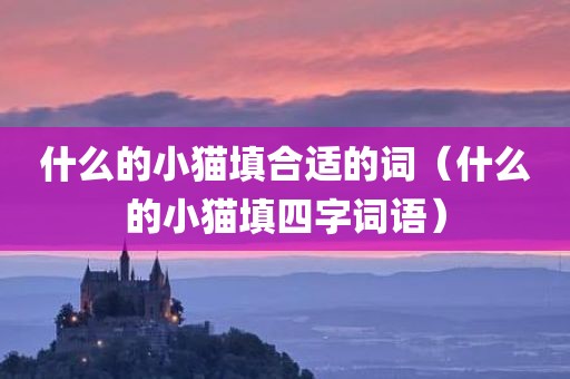 什么的小猫填合适的词（什么的小猫填四字词语）