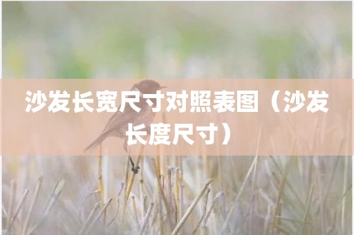 沙发长宽尺寸对照表图（沙发长度尺寸）