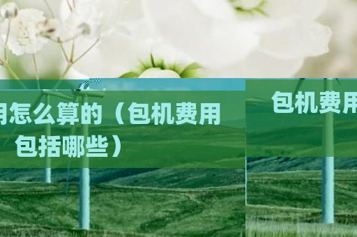 包机费用怎么算的（包机费用包括哪些）