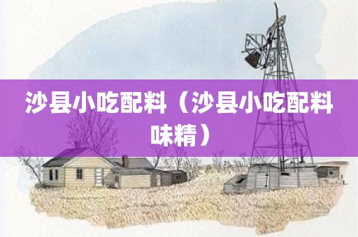 沙县小吃配料（沙县小吃配料味精）