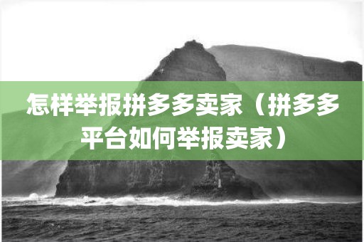 怎样举报拼多多卖家（拼多多平台如何举报卖家）