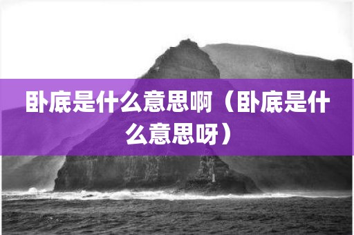 卧底是什么意思啊（卧底是什么意思呀）