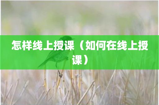 怎样线上授课（如何在线上授课）