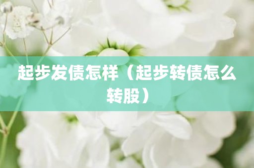 起步发债怎样（起步转债怎么转股）