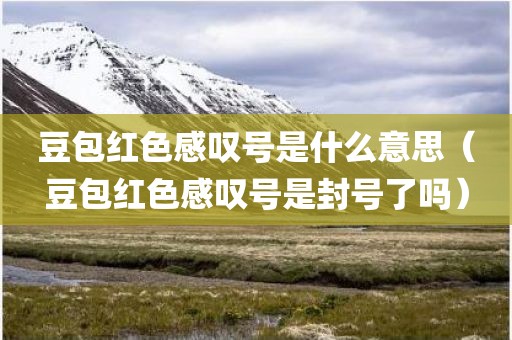 豆包红色感叹号是什么意思(豆包红色感叹号是封号了吗)