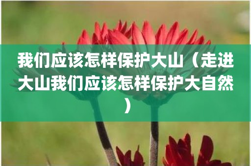 我们应该怎样保护大山（走进大山我们应该怎样保护大自然）