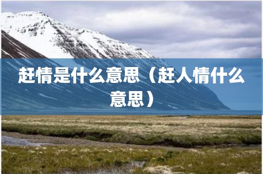 赶情是什么意思（赶人情什么意思）