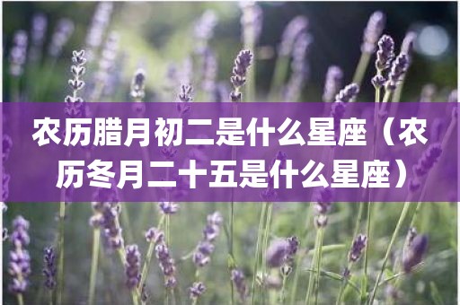 农历腊月初二是什么星座（农历冬月二十五是什么星座）