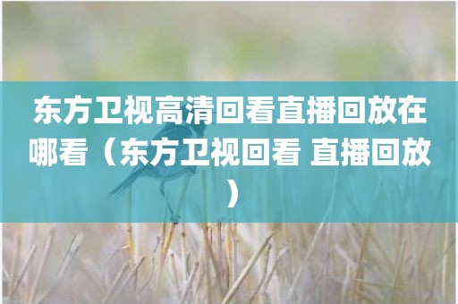 东方卫视高清回看直播回放在哪看（东方卫视回看 直播回放）