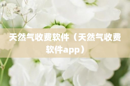天然气收费软件（天然气收费软件app）