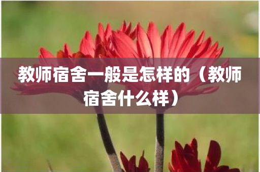 教师宿舍一般是怎样的（教师宿舍什么样）
