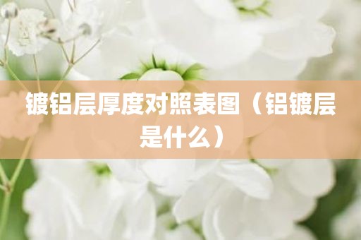 镀铝层厚度对照表图（铝镀层是什么）