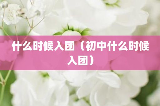 什么时候入团（初中什么时候入团）