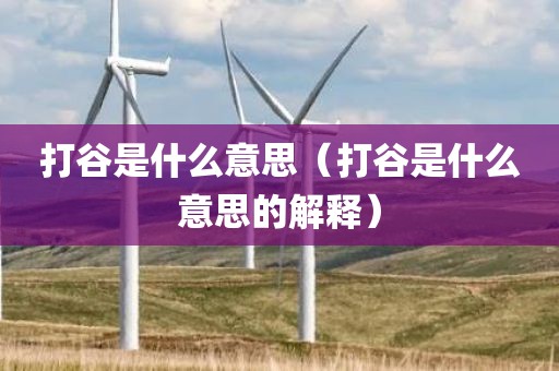 打谷是什么意思（打谷是什么意思的解释）