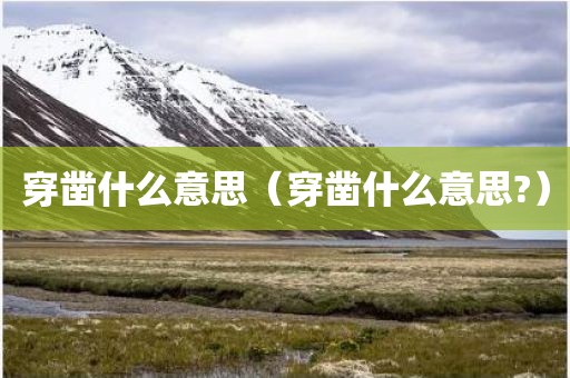 穿凿什么意思（穿凿什么意思?）