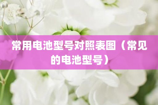 常用电池型号对照表图（常见的电池型号）