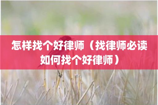 怎样找个好律师（找律师必读如何找个好律师）