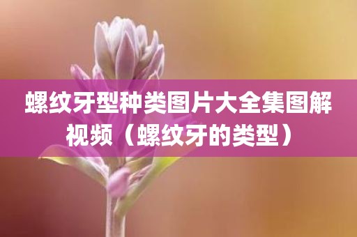 螺纹牙型种类图片大全集图解视频（螺纹牙的类型）