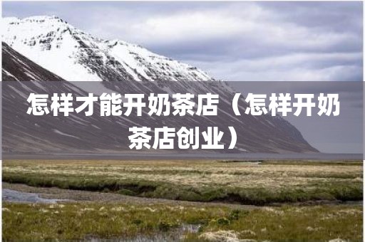 怎样才能开奶茶店（怎样开奶茶店创业）