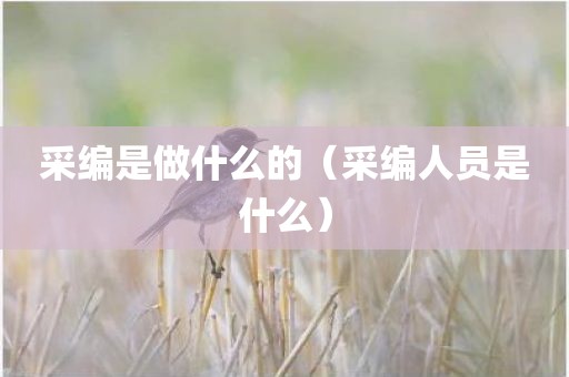 采编是做什么的（采编人员是什么）
