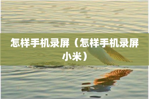 怎样手机录屏（怎样手机录屏小米）