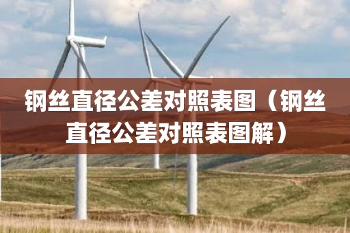 钢丝直径公差对照表图（钢丝直径公差对照表图解）