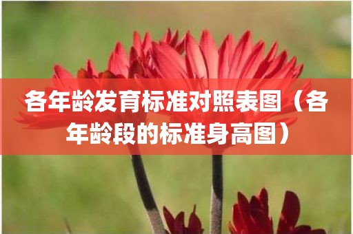 各年龄发育标准对照表图（各年龄段的标准身高图）