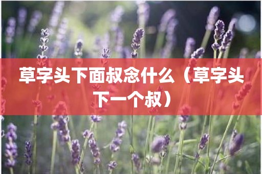 草字头下面叔念什么（草字头下一个叔）