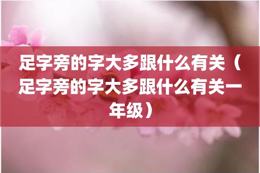 足字旁的字大多跟什么有关（足字旁的字大多跟什么有关一年级）