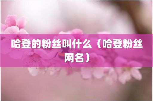 哈登的粉丝叫什么（哈登粉丝网名）