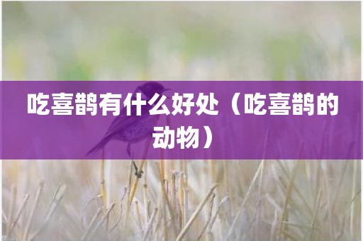 吃喜鹊有什么好处（吃喜鹊的动物）