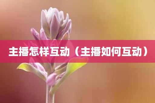 主播怎样互动（主播如何互动）