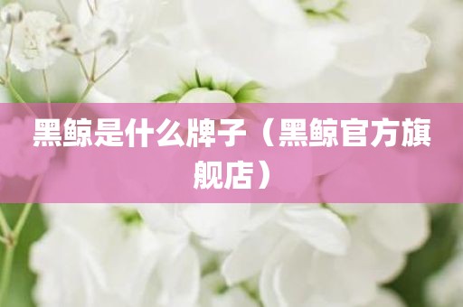 黑鲸是什么牌子（黑鲸官方旗舰店）