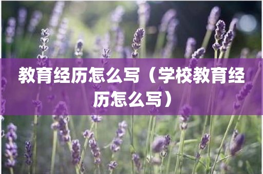 教育经历怎么写（学校教育经历怎么写）